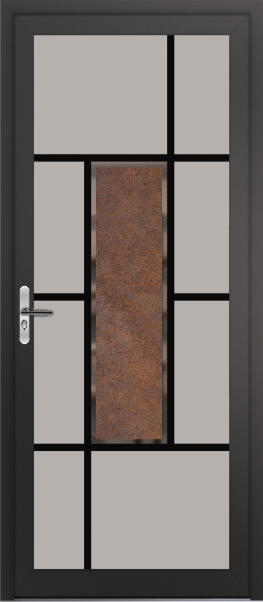 PORTE VITREE EFFET ACIER